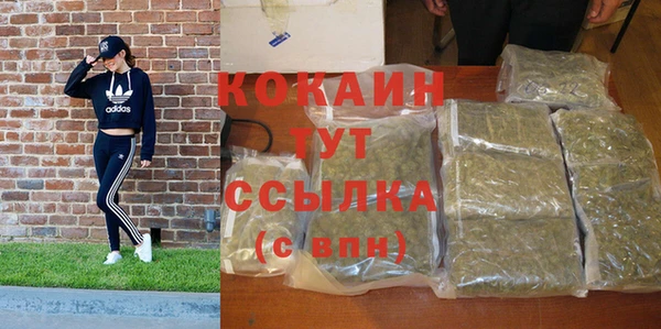 ПСИЛОЦИБИНОВЫЕ ГРИБЫ Вязьма