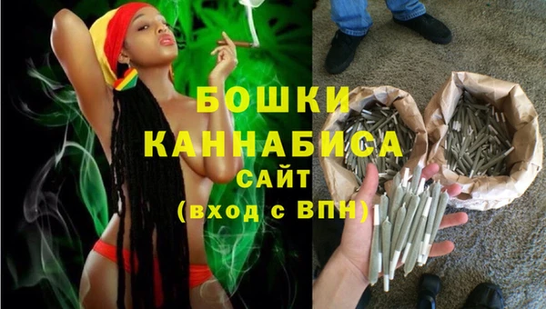 ПСИЛОЦИБИНОВЫЕ ГРИБЫ Вязьма