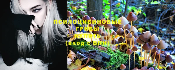 ПСИЛОЦИБИНОВЫЕ ГРИБЫ Вязьма