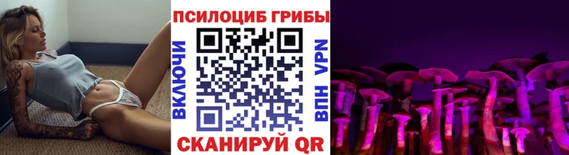 Псилоцибиновые грибы Psilocybine cubensis  Салехард 