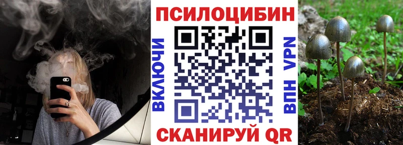 Галлюциногенные грибы мухоморы Салехард