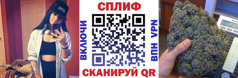 Шишки марихуана сатива  дарнет шоп  Салехард 